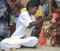 Man Marries Dog