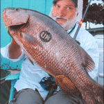 Snapper John MD