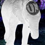 white_elephant